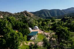 Zen Zion Evergreen