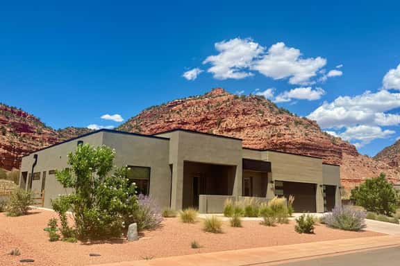Desert Willow - Image 1
