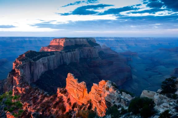Zion Living H1